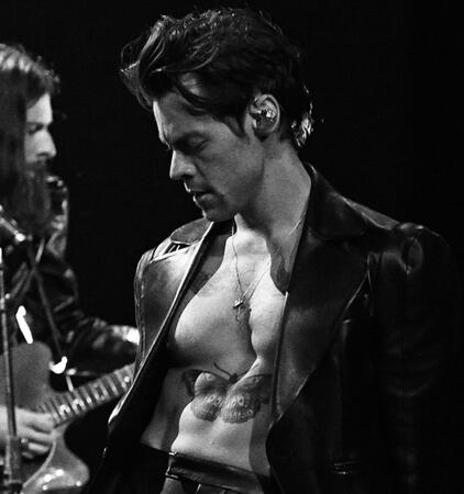 harry styles